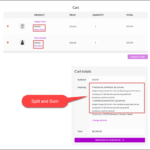 WooCommerce-Multi-Vendor-Add-On-ELEX-Shipping-Plugins-Split-And-Sum-