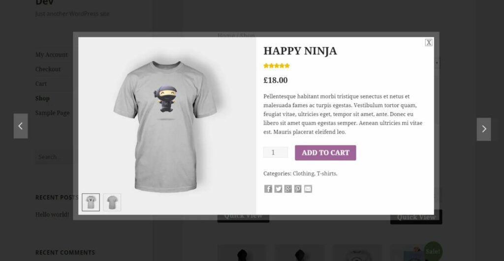 YITH WooCommerce Quick View is one of the best WooCommerce extensions you can download