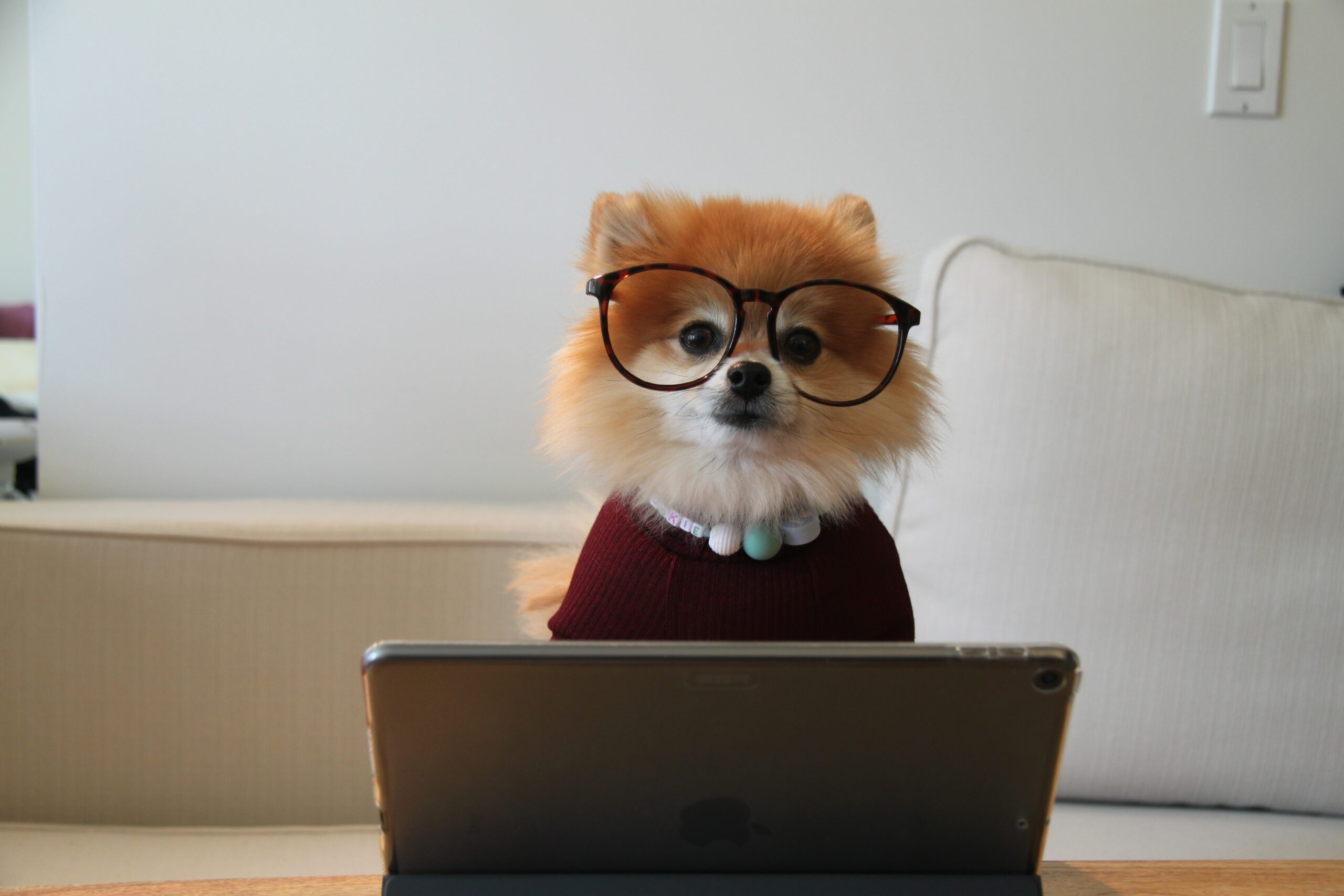 5 Tips to Help You Nail Your FollowUp Emails WC Vendors Follow up strategies
