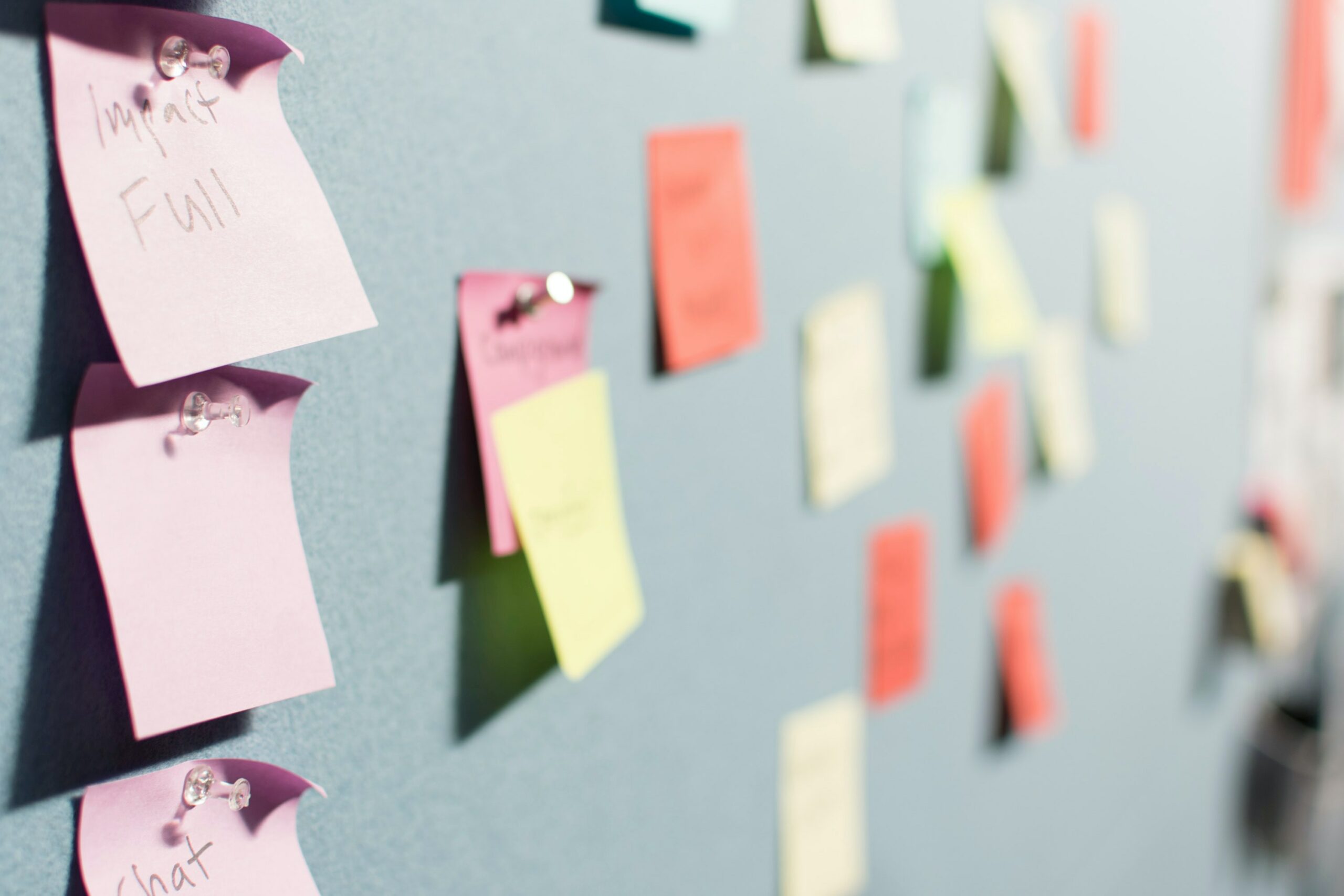 Your Marketplace Business Strategy - WC Vendors Your Marketplace Business Strategy