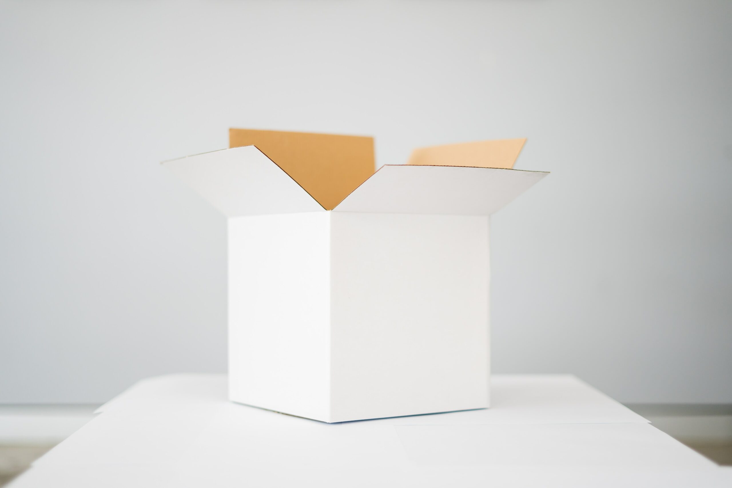 Don’t Abandon Ship(ments): A Guide to Marketplace Shipping Options