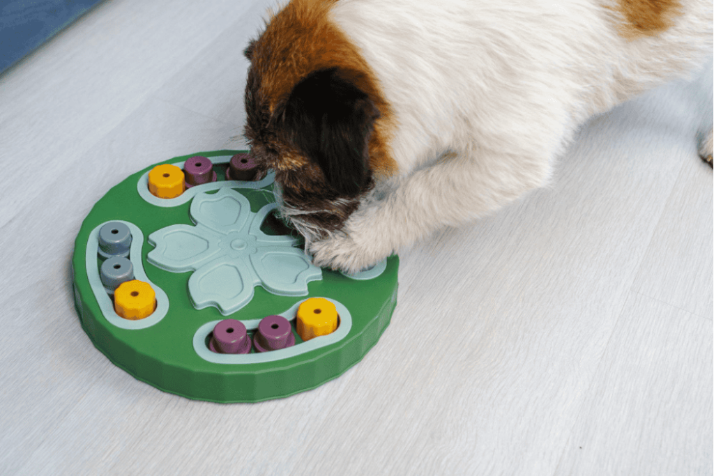 Pet Enrichment Toys-wcvendors - WC Vendors Interactive dog toy used for mental stimulation and enrichment