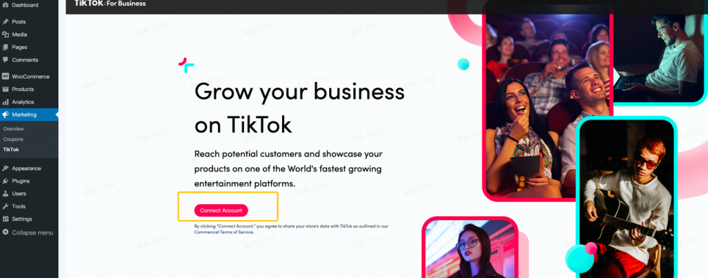 Connect TikTok to WooCommerce via the plugin dashboard
